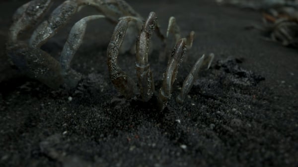 Sony Interactive Entertainment Death Stranding Vakio PlayStation 4