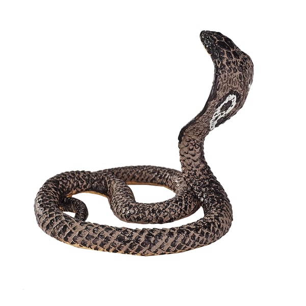 Mojo Fun King Cobra