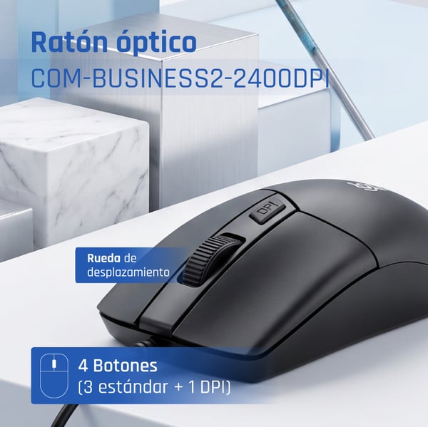 iggual COM-BUSINESS2-2400DPI mus Hjem Ambidextrous USB Type-A Optisk