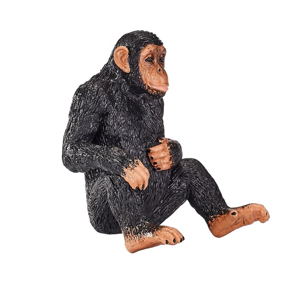Mojo Fun Chimpanzee