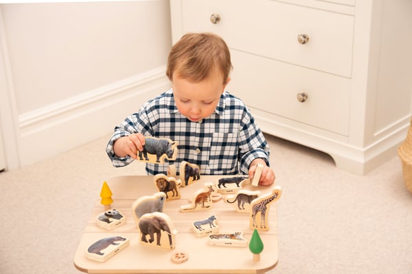Tickit Wooden Wild Animal Blocks
