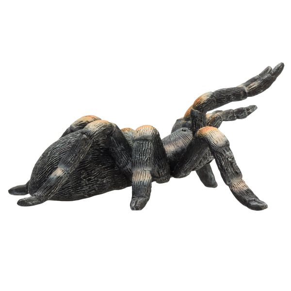 Mojo Fun Red Kneed Tarantula