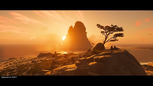 Sony Interactive Entertainment Ghost of Tsushima Director's Cut