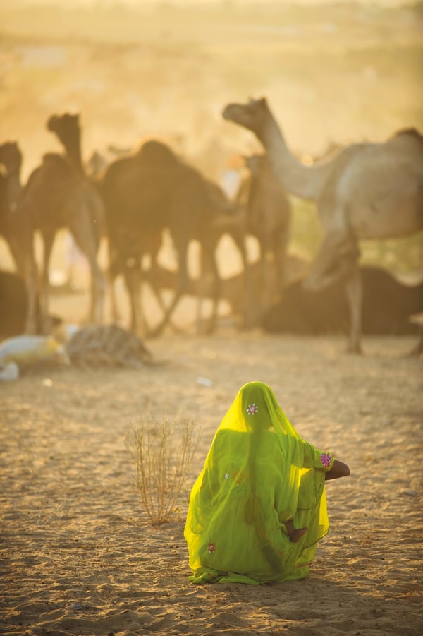 Clementoni Sari - National Geographic Puslespil 1000 stk Folk
