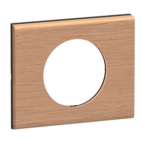 Legrand CP2401 kontaktplade & kontakthætte