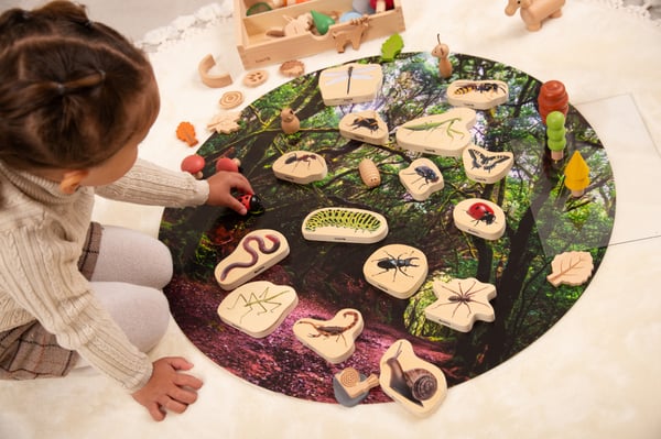 Tickit Wooden Minibeast Blocks