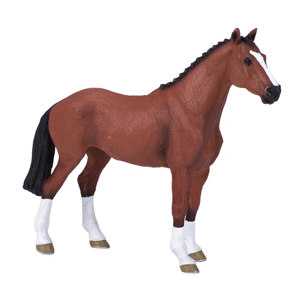 Mojo Fun Dutch Warmblood (Portugal)