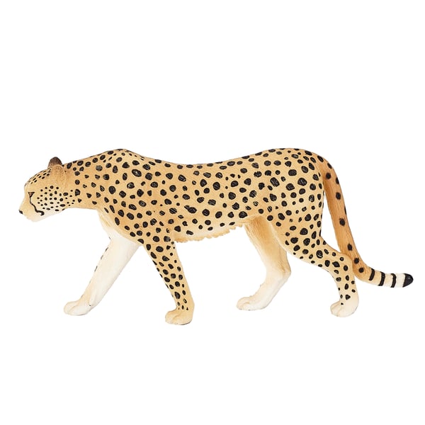 Mojo Fun Cheetah Male