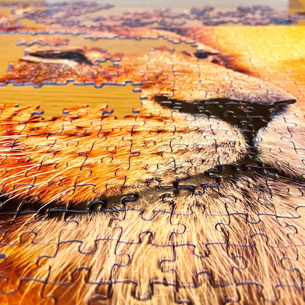 Tactic African Lion 500 pcs Pussel 500 styck Djur