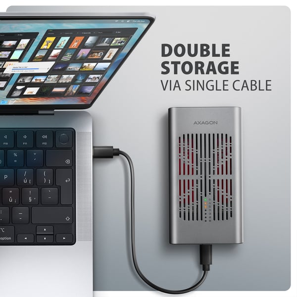 Axagon EEM2-20GD tallennusaseman telakointiasema USB 3.2 Gen 2 (3.1 Gen 2) Type-C Musta, Harmaa
