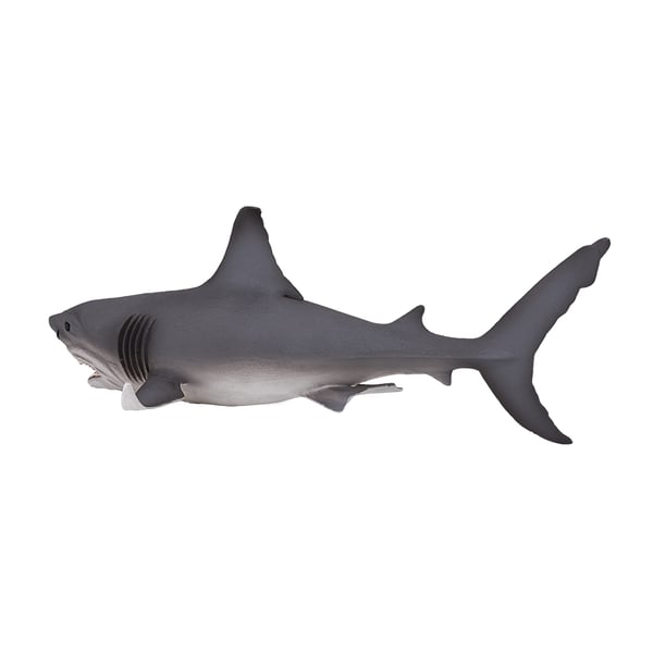 Mojo Fun White Shark Large (Portugal)