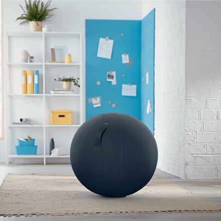 Leitz Ergo Cosy Active balancebold