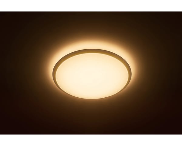 Philips Wawel taklampa 20 W
