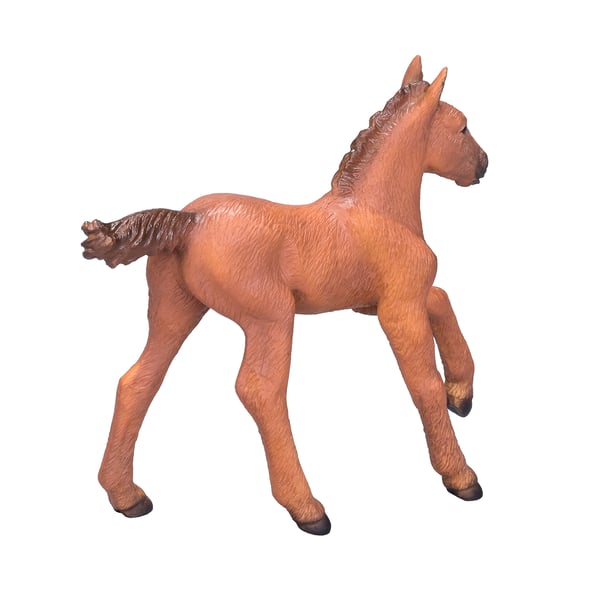 Mojo Fun Arabian Foal Chestnut