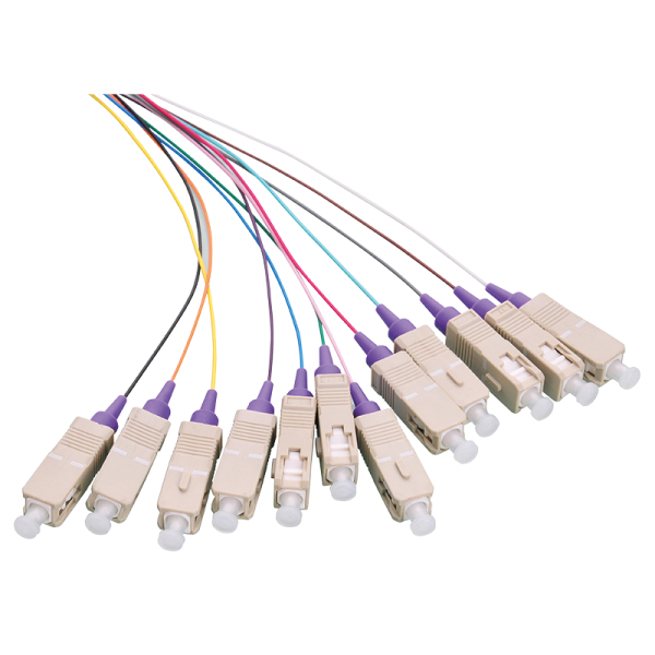 LogiLink FL4SC02 InfiniBand och fiberoptisk kabel 2 m 12x SC Multifärg