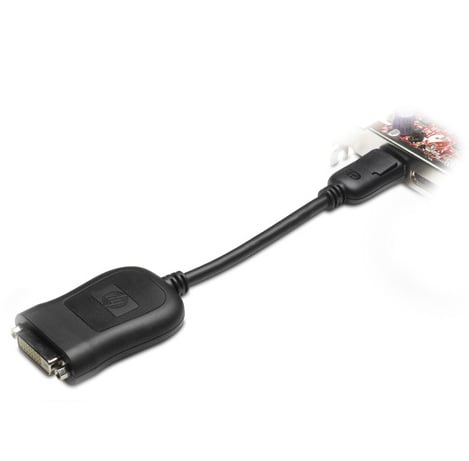 HP 484156-001 videokabel adapter DVI-D DisplayPort Sort
