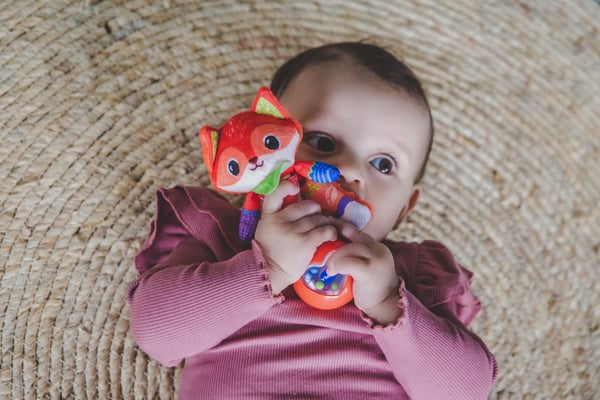 VTech Baby Dierenvriendjes Rammelaar - Vos