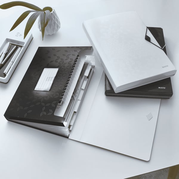 Leitz Projektmappe WOW PP