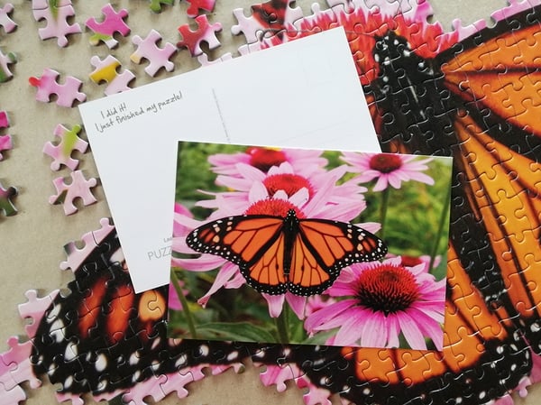 Tactic Monarch Butterfly 1000 pcs Kuviopalapeli 1000 kpl Eläimet