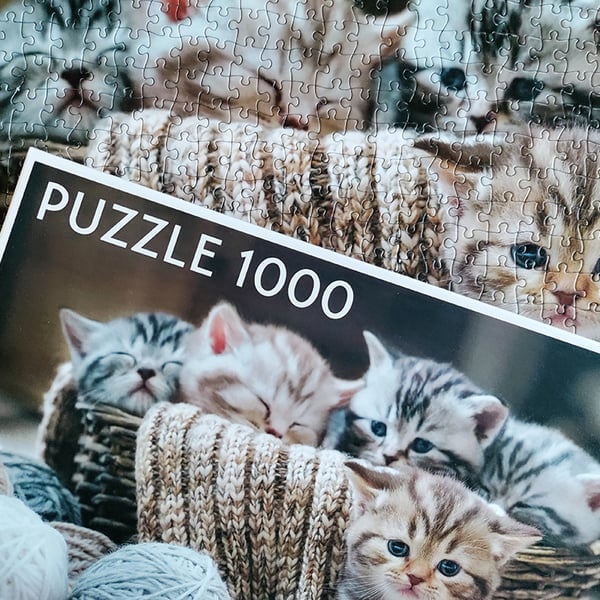 Tactic Cute Kittens 1000 pcs Puslespil 1000 stk Dyr