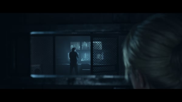 Sony Interactive Entertainment Until Dawn Standard Flersproget PlayStation 5