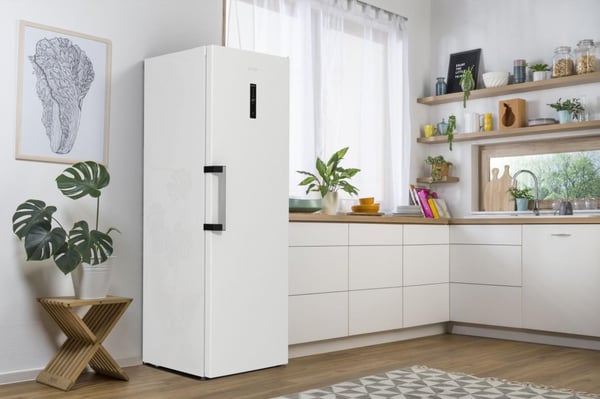 Gorenje FN619EAW6 Stående fryser Fritstående 280 L Hvid