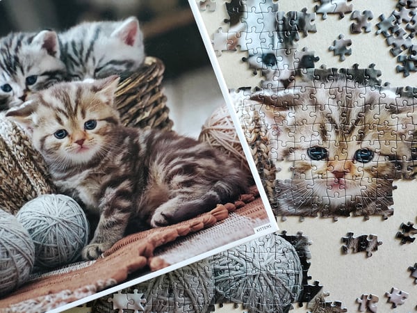 Tactic Cute Kittens 1000 pcs Puslespil 1000 stk Dyr