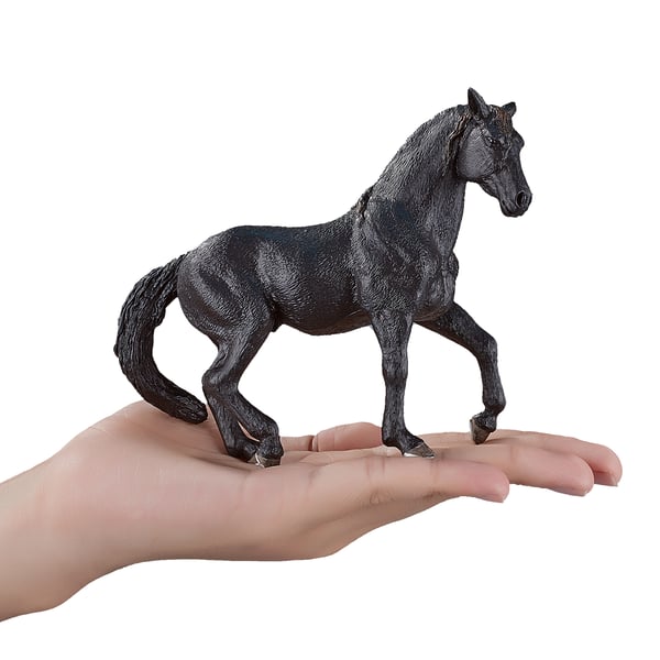 Mojo Fun Andalusian Stallion Black