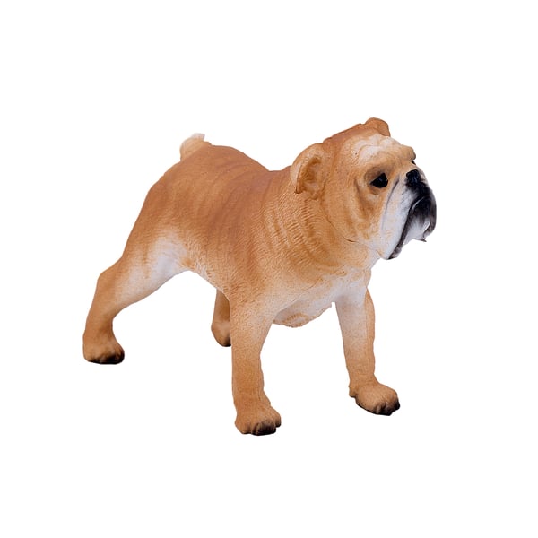 Mojo Fun English Bulldog