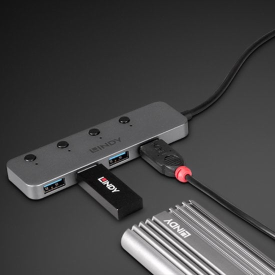 Lindy 43383 interface hub USB 3.2 Gen 1 (3.1 Gen 1) Type-C 5000 Mbit/s Grå
