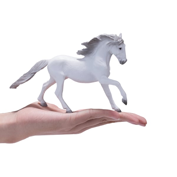 Mojo Fun Lusitano