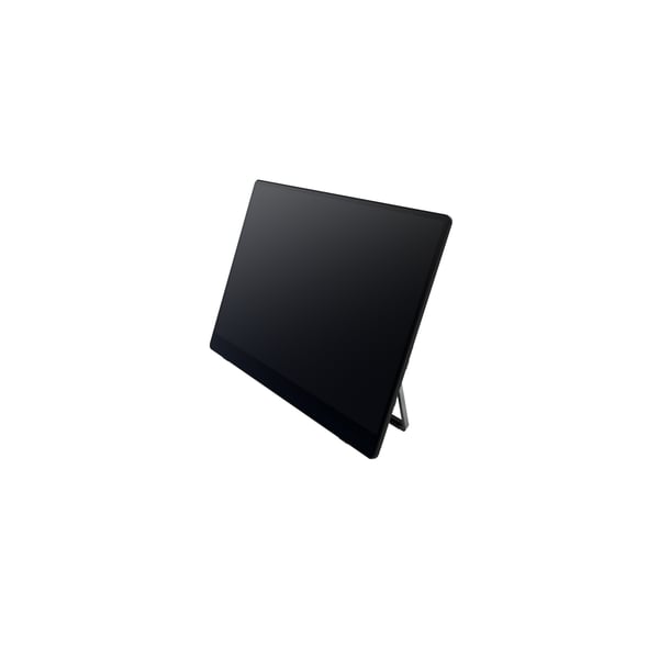 Ricoh 150 Bærbar skærm Sort 39,6 cm (15.6") LED 1920 x 1080 pixel