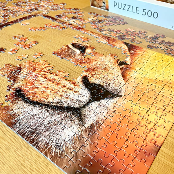 Tactic African Lion 500 pcs Pussel 500 styck Djur
