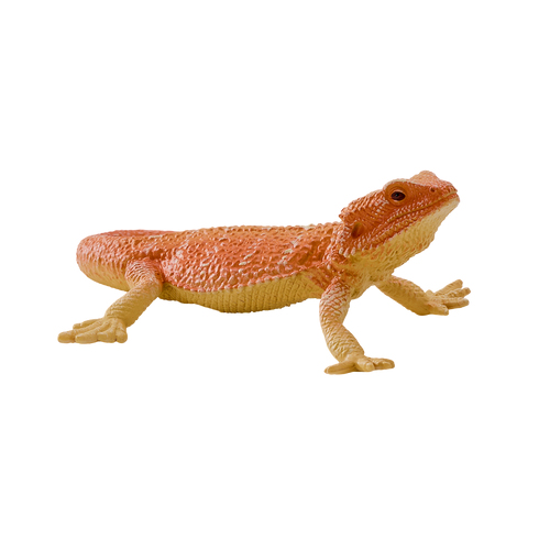 Mojo Fun Bearded Dragon