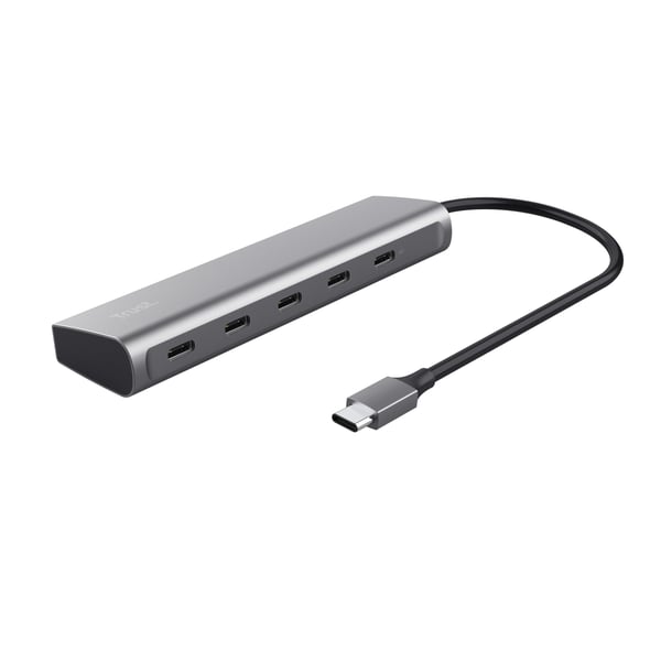 Trust Halyx USB 3.2 Gen 1 (3.1 Gen 1) Type-C Silver Trust Halyx USB 3.2 Gen 1 (3.1 Gen 1) Type-C Silver
