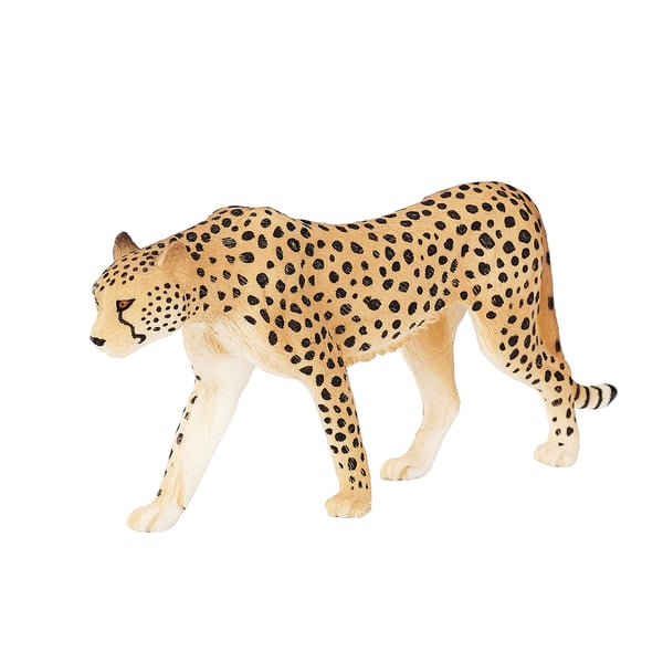 Mojo Fun Cheetah Male