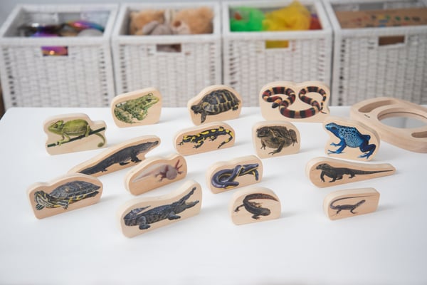 Tickit Wooden Reptile & Amphibian Blocks