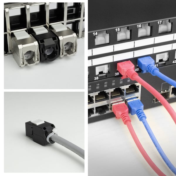 ACT TD6024 kabel kønsskifter RJ45 IDC Sort, Hvid