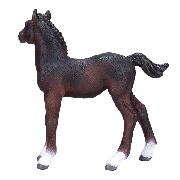 Mojo Fun Hanoverian Foal Bay