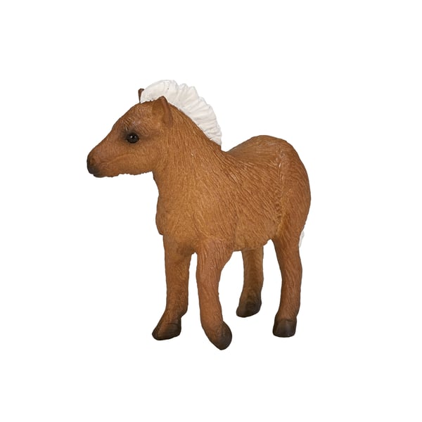Mojo Fun Shetland Pony Foal