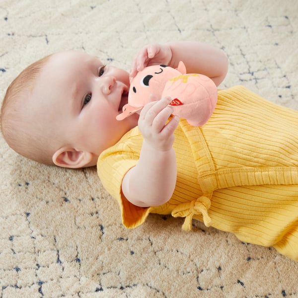 Fisher-Price Sensimals Fisher Price Så många sinnen-presentset, 4 sinnesstimulerande leksaker för baby med finmotoriska aktiviteter