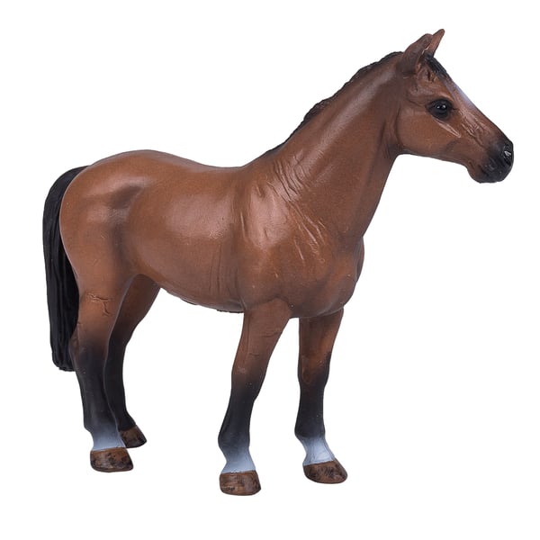 Mojo Fun Trakehner (Portugal)