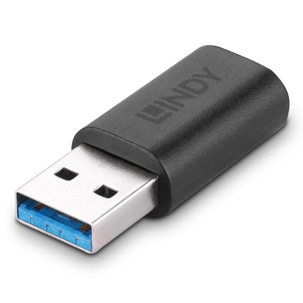 Lindy USB-Adapter - USB Typ A (M) till 24-pin USB-C (W)