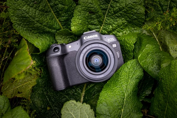 Canon EOS R8 + RF 24-50mm F4.5-6.3 IS STM Kit MILC 24,2 MP CMOS 6000 x 4000 pixel Sort