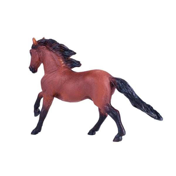 Mojo Fun Lusitano