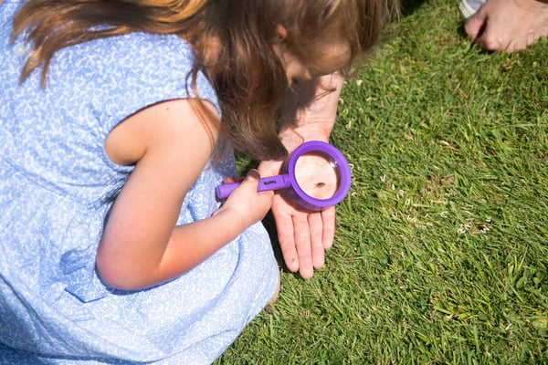 Tickit Rainbow Magnifiers