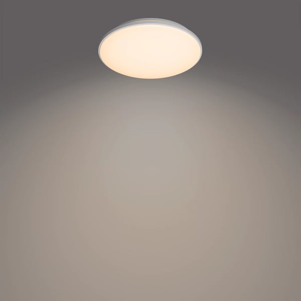 Philips Funktionel Wincel loftslampe, 40 W