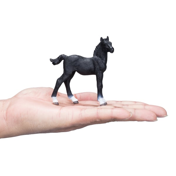 Mojo Fun Hanoverian Foal Black