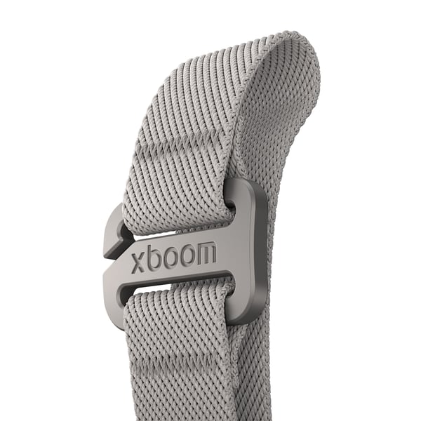 LG xboom Mini by will.i.am Bärbar monohögtalare Grå 5 W