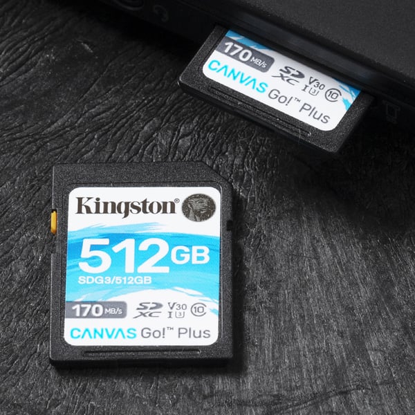 Kingston Flash-kort Canvas Go! Plus - SDXC UHS-I - 512 GB
